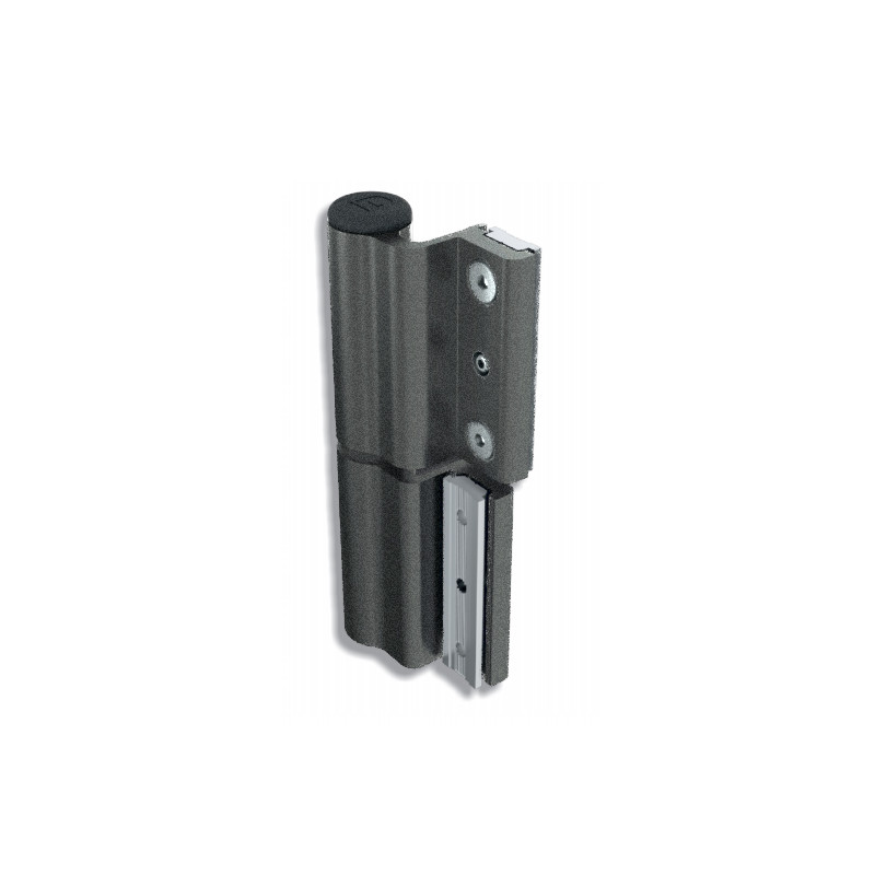 Bisagra PUERTA CE 3000 RAL 9005 TXT 100KG 140mm DB