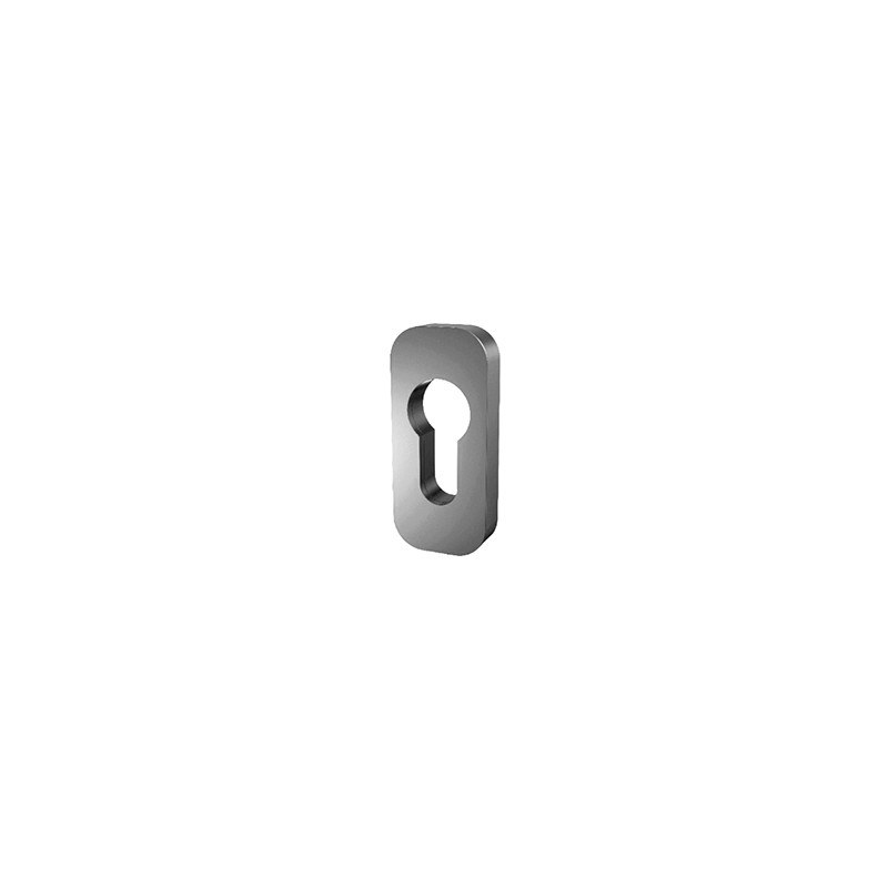 EMBELLECEDOR CILINDRO SEGURIDAD CUADRO 5000 PLATA MR