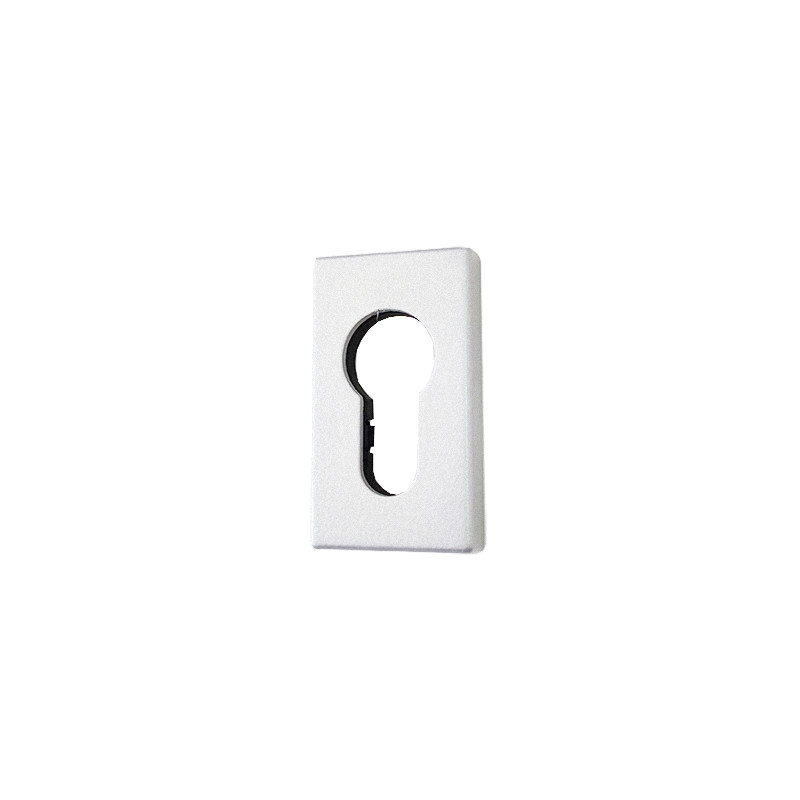 EMBELLECEDOR CILINDRO KARMA 2129.4 RAL 9016 TXT 299 MS